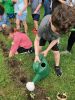 MLT-Planting-061324-2246-Marilou.jpg
