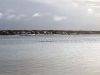 Filename=MNHM_3145.jpg
Filesize=106KiB
Dimensions=960x720
Date added=Feb 08, 2023 MNHM_3145.jpg