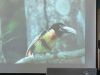 MNHM_Birds.jpg