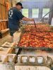 Filename=MRcoa_6822.jpg
Filesize=168KiB
Dimensions=540x720
Date added=Aug 21, 2024 MRcoa_6822.jpg