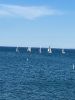 Filename=MTboatRace.jpg
Filesize=87KiB
Dimensions=540x720
Date added=Apr 02, 2025 MTboatRace.jpg
