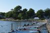 Filename=MTpicnic_Boats-28cover-29.jpg
Filesize=226KiB
Dimensions=1080x720
Date added=Aug 13, 2025 MTpicnic_Boats-28cover-29.jpg