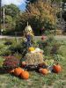 Filename=Marion-Point-Road-Garden.jpg
Filesize=214KiB
Dimensions=540x720
Date added=Oct 08, 2025 Marion-Point-Road-Garden.jpg