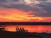 Filename=Morning-in-August.jpg
Filesize=90KiB
Dimensions=960x720
Date added=Aug 14, 2025 Morning-in-August.jpg