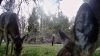 Filename=Pina_Deer~0.jpg
Filesize=181KiB
Dimensions=1280x720
Date added=Mar 20, 2024 Pina_Deer~0.jpg