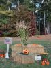 RMS-Spooktacular_8850.jpg