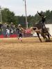 Filename=Rodeo_Yeehaw-6.jpg
Filesize=161KiB
Dimensions=648x864
Date added=Jul 03, 2025 Rodeo_Yeehaw-6.jpg
