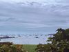 Filename=RuthGriffinHarbor.jpg
Filesize=112KiB
Dimensions=960x720
Date added=Oct 15, 2025 RuthGriffinHarbor.jpg