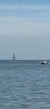 Filename=RuthGriffin_2~0.jpg
Filesize=25KiB
Dimensions=332x720
Date added=Oct 01, 2025 RuthGriffin_2~0.jpg