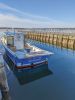 Filename=Serene-by-Robert-Price-041323.jpg
Filesize=86KiB
Dimensions=540x720
Date added=Apr 19, 2023 Serene-by-Robert-Price-041323.jpg