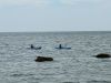 ShepleyKayak_1530.jpg