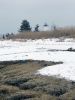 Filename=Shepley_9733.jpg
Filesize=111KiB
Dimensions=540x720
Date added=Feb 24, 2021 Shepley_9733.jpg