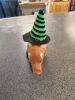 aardvark_PlumbLibrary.jpg