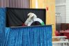 Filename=ROPuppetShow3.jpg
Filesize=156KiB
Dimensions=900x600
Date added=Mar 12, 2008 ROPuppetShow3.jpg