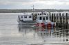 Filename=icebound.jpg
Filesize=223KiB
Dimensions=600x398
Date added=Jan 21, 2009 icebound.jpg