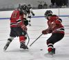 Filename=orr_hockey_31_4_garrett_010709_01.jpg
Filesize=112KiB
Dimensions=500x435
Date added=Jan 13, 2009 orr_hockey_31_4_garrett_010709_01.jpg