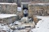 Filename=tubmillbrook.jpg
Filesize=302KiB
Dimensions=600x398
Date added=Jan 21, 2009 tubmillbrook.jpg