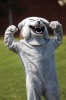 ORR_bulldog ORR_bulldog