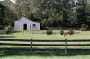 RO_horse