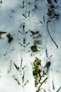 HIKE_2183