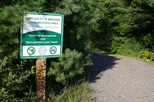Hike_Dogget_3311