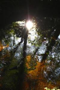 Hike_Dogget_3320