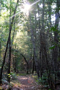 Hike_Dogget_3338