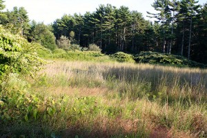Hike_Dogget_3343