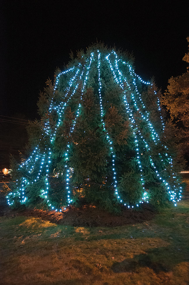 Rochester Tree Lighting at Town Hall
