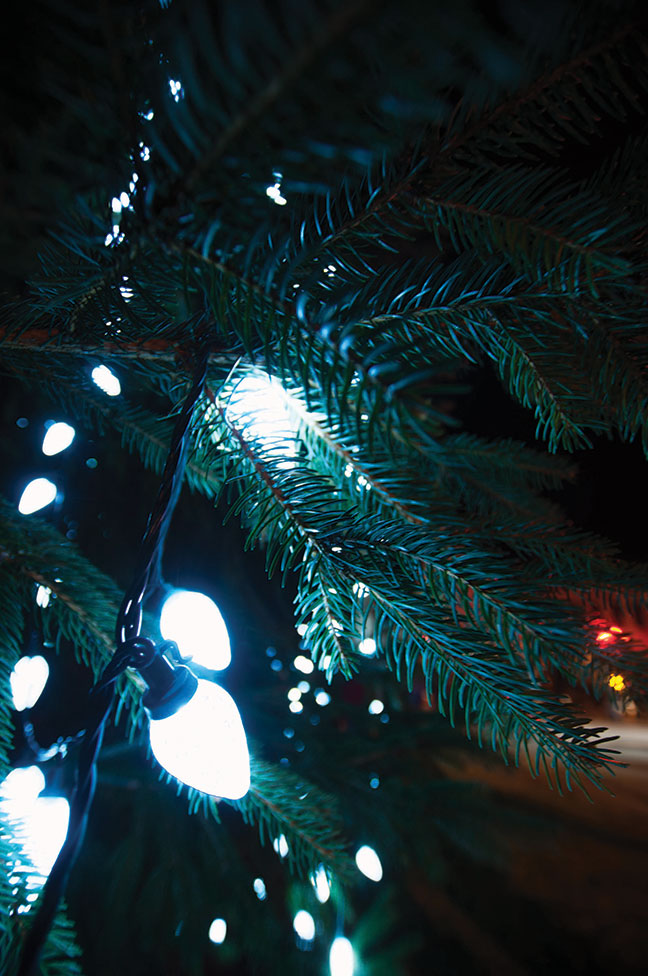 Rochester Tree Lighting at Town Hall