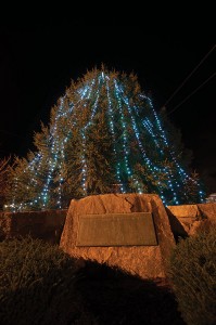 Rochester-Tree-Lighting-15