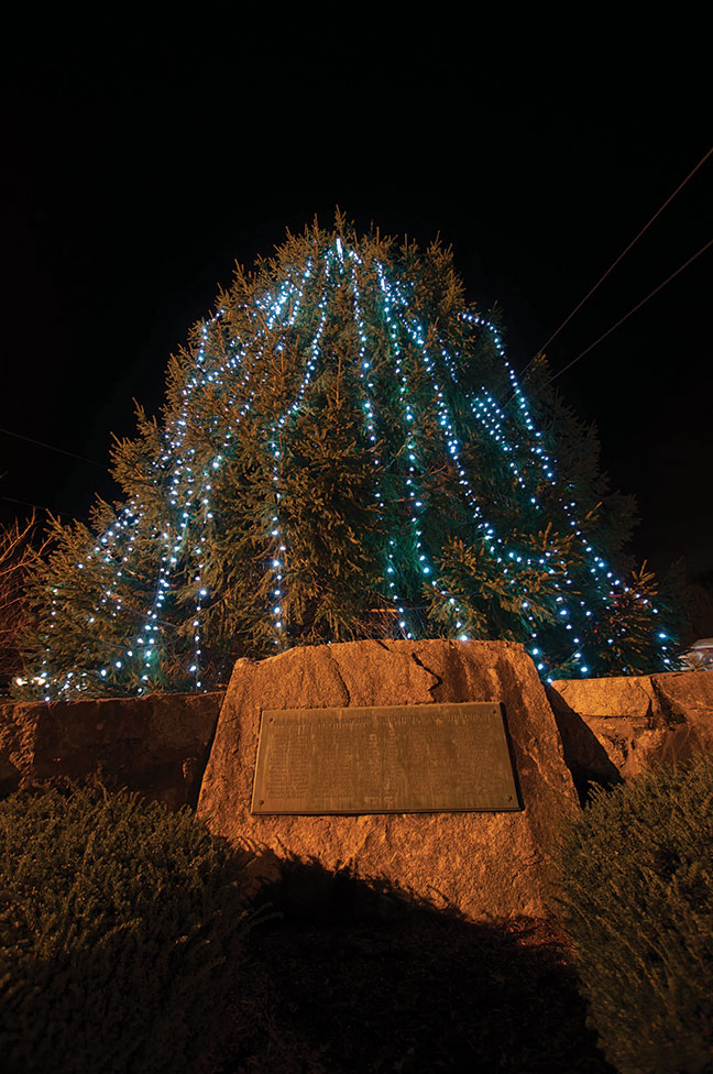Rochester Tree Lighting at Town Hall