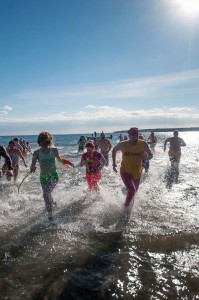 polarplunge2015-6154