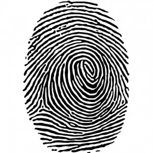 fingerprint-vector_12613