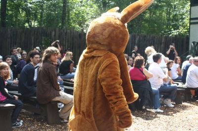 An Aardvark in King Richard's Court
The Wanderer Aardvark visits King Richard's Fair
