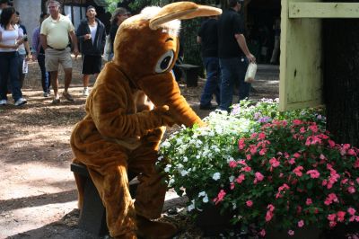 An Aardvark in King Richard's Court
The Wanderer Aardvark visits King Richard's Fair
