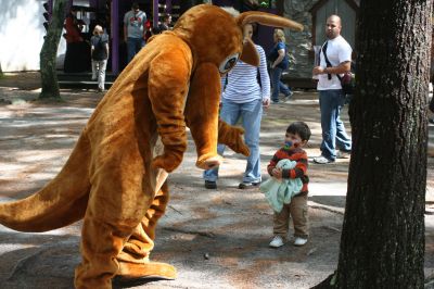 An Aardvark in King Richard's Court
The Wanderer Aardvark visits King Richard's Fair
