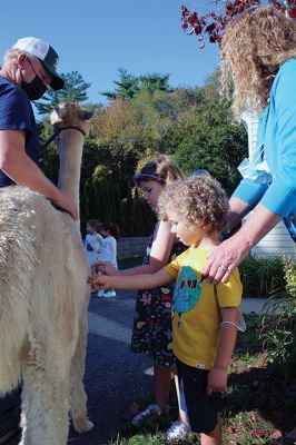 Good News
On October 14, Jeff and Lauren Paine of Pine Meadow Farms in Mattapoisett brought Alpacas “Good News,” a two-year-old male, and “Patience,” a 10-year-old female, to the Loft School in Marion, where Debbi Dyson's Pre-K class has been learning about Peru and the country’s alpacas and llamas. Pine Meadow will host an Open House on October 30. Photos by Mick Colageo
