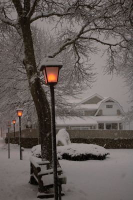 Shipyard Park
Arlene Fogarty snapped this great image of the snowfall at Shipyard Park.
