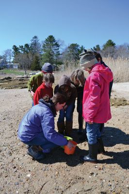 Buzzards Bay Coalition
One of the educational events the Buzzards Bay Coalition had planned for April vacation brought kids to the 6.1-acre property to explore the marshy beach for a scavenger hunt. The osprey from a nearby nest kept a close eye on the group until the treasures were tallied and the group waded back down the mud-puddled path to the road. Photo by Jean Perry
