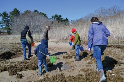 Buzzards Bay Coalition
One of the educational events the Buzzards Bay Coalition had planned for April vacation brought kids to the 6.1-acre property to explore the marshy beach for a scavenger hunt. The osprey from a nearby nest kept a close eye on the group until the treasures were tallied and the group waded back down the mud-puddled path to the road. Photo by Jean Perry
