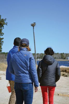 Buzzards Bay Coalition
One of the educational events the Buzzards Bay Coalition had planned for April vacation brought kids to the 6.1-acre property to explore the marshy beach for a scavenger hunt. The osprey from a nearby nest kept a close eye on the group until the treasures were tallied and the group waded back down the mud-puddled path to the road. Photo by Jean Perry
