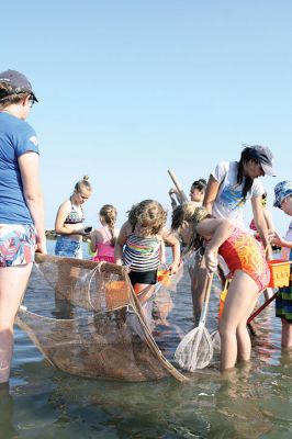 Seining the Shore
The Buzzards Bay Coalition hosted a “Seining the Shore” activity with a couple dozen kids at Silvershell beach on Friday, July 22. The kids practiced tossing the seine net to capture small sea creatures and explore what was caught. Photos by Jean Perry
