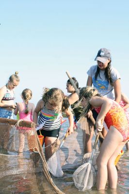 Seining the Shore
The Buzzards Bay Coalition hosted a “Seining the Shore” activity with a couple dozen kids at Silvershell beach on Friday, July 22. The kids practiced tossing the seine net to capture small sea creatures and explore what was caught. Photos by Jean Perry
