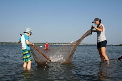 Seining the Shore
The Buzzards Bay Coalition hosted a “Seining the Shore” activity with a couple dozen kids at Silvershell beach on Friday, July 22. The kids practiced tossing the seine net to capture small sea creatures and explore what was caught. Photos by Jean Perry
