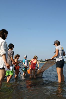 Seining the Shore
The Buzzards Bay Coalition hosted a “Seining the Shore” activity with a couple dozen kids at Silvershell beach on Friday, July 22. The kids practiced tossing the seine net to capture small sea creatures and explore what was caught. Photos by Jean Perry
