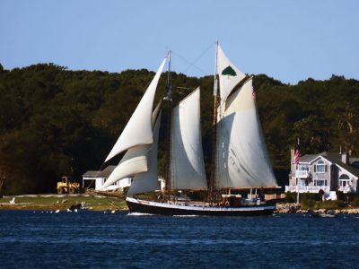 Tree of Life
Faith Ball captured this shot of the Schooner ‘Tree of Life’ setting sail from Mattapoisett Harbor
