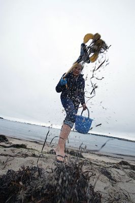 Be the Solution to Pollution
Mattapoisett Town Beach on Sunday, September 13, “Be the Solution to Pollution” Photo by Colin Veitch
