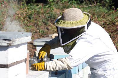 Honey I’m Home! 
This beehive is thriving thanks to the careful attention paid by local beekeeper Linda Rinta. Rinta gave a talk on bees and honey production in Marion on Saturday and invited us to her property on Sunday to observe her practicing her craft. 
