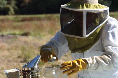 Honey I’m Home! 
This beehive is thriving thanks to the careful attention paid by local beekeeper Linda Rinta. Rinta gave a talk on bees and honey production in Marion on Saturday and invited us to her property on Sunday to observe her practicing her craft. 
